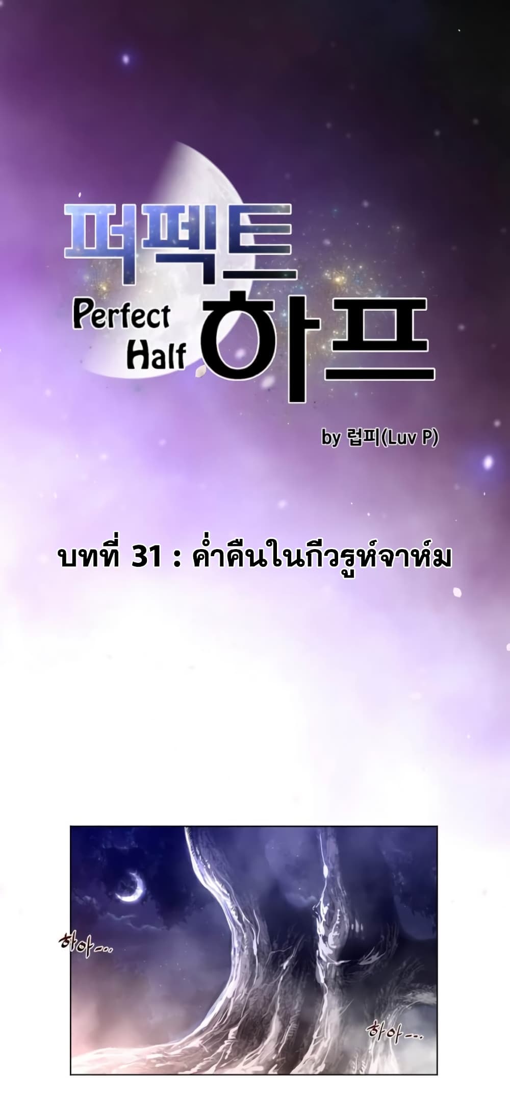 Perfect Half 31 02